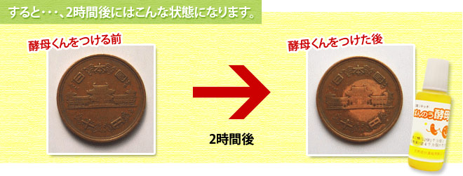 �ʐ^���F�y�ꂭ�������O�A�ʐ^�E�F�y�ꂭ���������